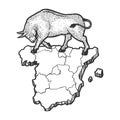 Spain map and bull sketch engraving vector