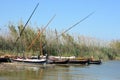 Spain, Valencia, natural park of Albufera.