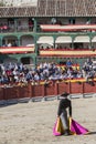 Spainish bullfighter Miguel Abellan with the cape, Spain