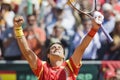 Spains David Ferrer celebrates the victory during the Davis Cup Royalty Free Stock Photo