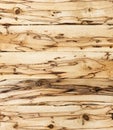 Spalted wood