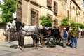 Horse drawn carriage, Cordoba, Spain.