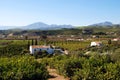 Country finca and orange grove, Alora, Spain. Royalty Free Stock Photo