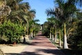 Palm avenue at La Concepcion Botanical Gardens, Malaga.