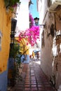 Old town alleyway, Marbella, Spain.