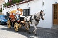 Horse drawn carriage with holiday makers taking a scenic tour, Mijas, Spain.