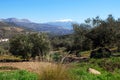 Mountain landscape, Riogordo, Spain. Royalty Free Stock Photo