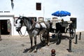 Horse drawn carriage outside the bullring, Ronda, Spain. Royalty Free Stock Photo