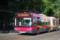 Bendy bus, Seville, Spain.