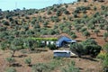 Farmhouse and olive groves, Alora, Spain.