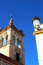 Storkon top of the Marquis of Benemeji Palace, Ecija, Spain.