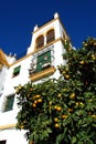 Spanish townhouse and orange tree, Seville, Spain. Royalty Free Stock Photo