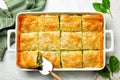 Spanakopita, a Greek savory spinach pie. It contains cheese feta, chopped spinach, green, egg, layered in phyllo or filo pastry.