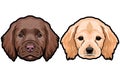 Spaniel breed dog puppy heads colored vector illustration