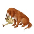 Spaniel dog is watering from a watering can. Shaggy puppy. The illustration is isolated on a white background.