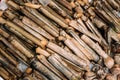 Spanish Alive razor clams shells Navajas on market