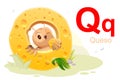 Spanish alphabet letter Q cheese translation Queso. Bird owl eating cheese