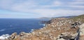 Spanish Atlantic coastal landscape