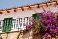 Spanish balcony with flowers