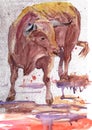 A spanish bull digs a hoofed ground in an arena during a bullfight in Spain, a watercolor drawing, 2021 symbol