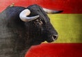 Spanish bull head with big horns looking dangerous isolated on Spain flag Royalty Free Stock Photo