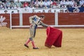 The Spanish Bullfighter Enrique Ponce bullfighting with the crutch in the Bullring of Pozoblanco, Spain Royalty Free Stock Photo