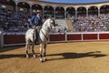 Spanish bullfighter on horseback Pablo Hermoso de Mendoza Starting the paseÃÂ­llo to begin the celebration in Pozoblanco Royalty Free Stock Photo