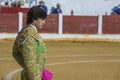 The Spanish Bullfighter Sebastian Castella bullfighting with the
