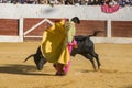 The Spanish Bullfighter Sebastian Castella bullfighting with the