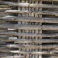 Spanish cane dry, Colorado river reed, framework for rural use