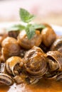 Spanish caracoles en salsa, cooked snails in sauce Royalty Free Stock Photo