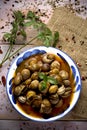 Spanish caracoles en salsa, cooked snails in sauce Royalty Free Stock Photo