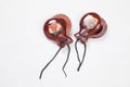 Spanish Castanets Royalty Free Stock Photo