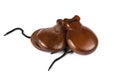 Spanish Castanets Royalty Free Stock Photo