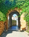 Spanish castle archway Royalty Free Stock Photo