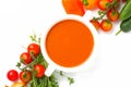 Spanish cold tomatoe soup gazpacho isolated on white background Royalty Free Stock Photo