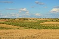 Spanish country landscape in spring