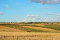 Spanish country landscape in spring