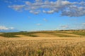 Spanish country landscape in spring