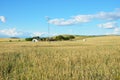 Spanish country landscape in spring