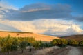 Spanish country landscape at sunset