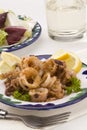 Spanish cuisine. Andalusian deep-fried squids.