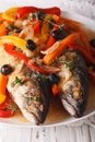 Spanish cuisine: escabeche of mackerel closeup. Vertical Royalty Free Stock Photo