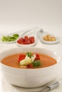 Spanish Cuisine. Gazpacho. Andalusian cold soup. Royalty Free Stock Photo