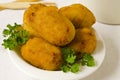 Spanish Cuisine. Tapas. Ham croquettes. Croquetas de jamon