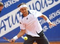 Spanish David Ferrer Royalty Free Stock Photo