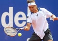 Spanish David Ferrer Royalty Free Stock Photo