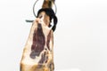 Spanish delicatessen dry cured meat ham, whole leg, jamon iberico bellota on jamonero stand selective focus - white background Royalty Free Stock Photo