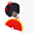 Spanish dog Royalty Free Stock Photo