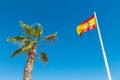 Spanish Flag And Palm Tree In The Blue Sky